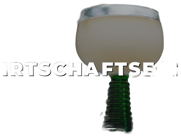 WirtschaftsEcho logo